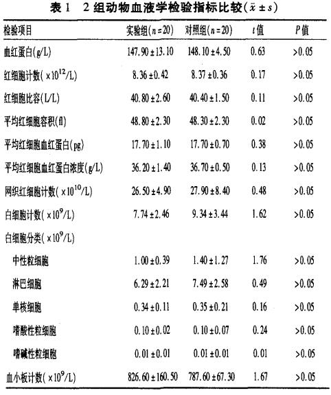 新.jpg
